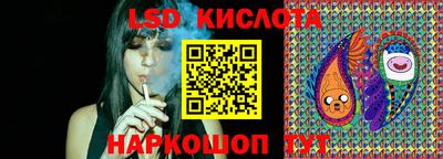трава Гатчина