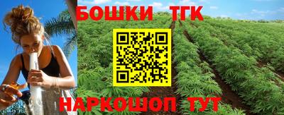 трава Гатчина