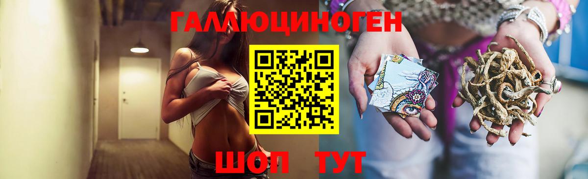 Дзержинск  Псилоцибиновые грибы Psilocybe  Вход с VPN  Псилоцибиновые грибы мухоморы 